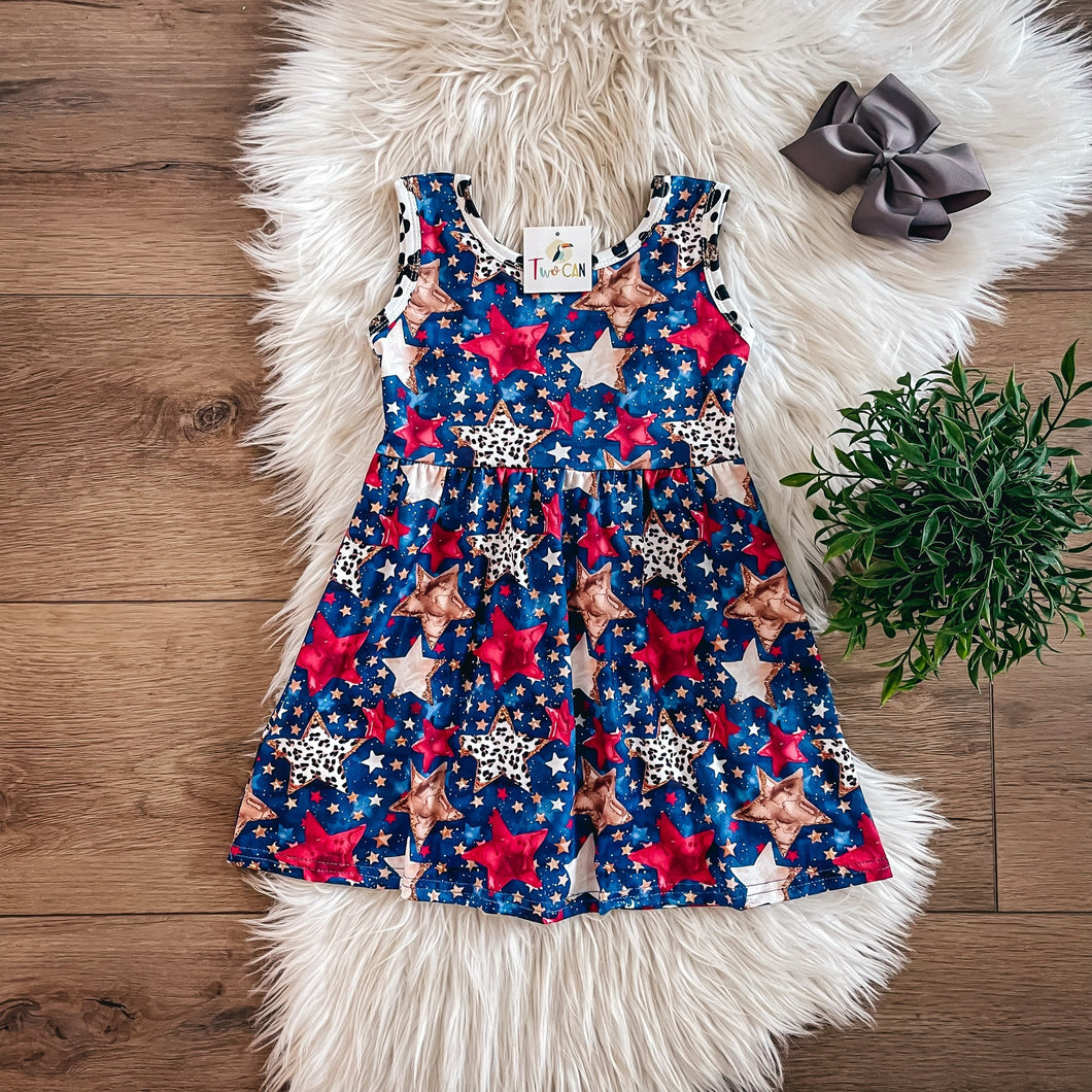 Twinkle and Roar Dress