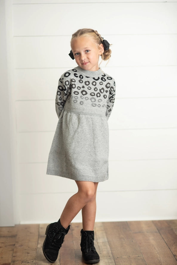 Leopard Print Sweater Dress